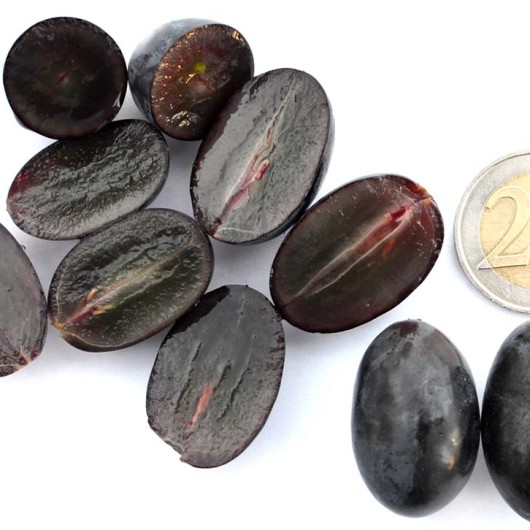 KIŠMIŠ REBEKKA bezsemenné rezistentné stolové hrozno