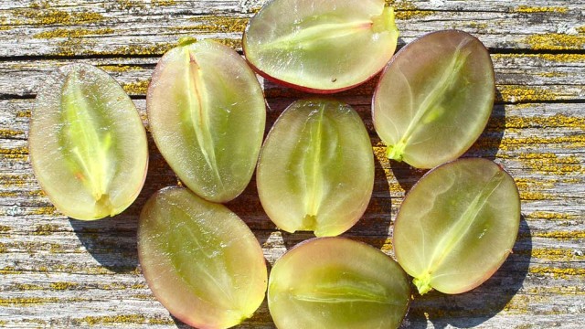 Hodnotenie bezsemennosti stolového hrozna