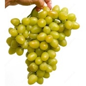 Early Season White Table Grapes