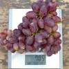 ANDRYUSHA bare-root grafted table grapevine
