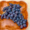 ETALON bare-root grafted table grapevine