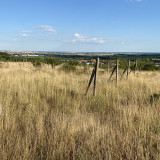 Predám pozemky v Limbachu