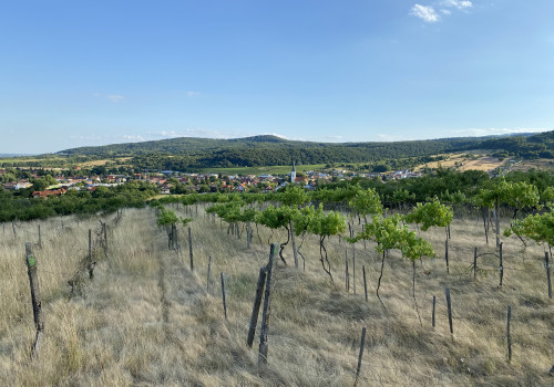 Predám pozemky v Limbachu