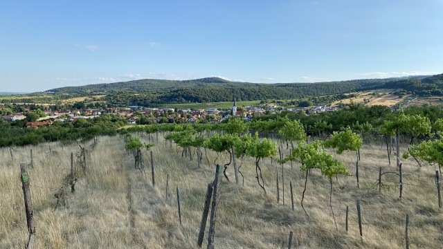 Grundstück zum Verkauf in Limbach