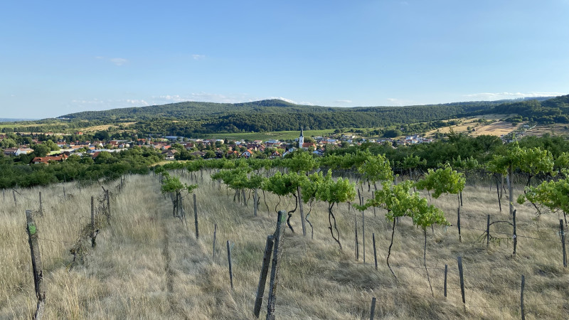 Land for sale in Limbach