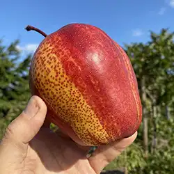 Nakupujte na tutifruti.sk